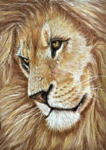 "Lion"