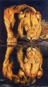 "Reflections"