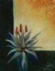 "Aloe with 3 flowers"