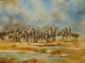 "Elephant Herd"
