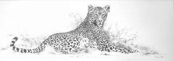 "Alert Leopard"