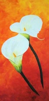 "Arum Lilies 2"