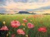 "Poppy Fields"