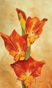 "Orange Cannas"