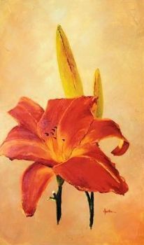 "Orange Day Lilly"