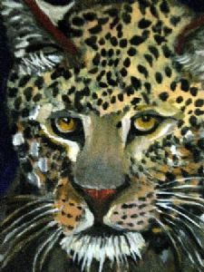 "Leopard"
