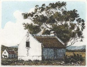 "Duinerig"