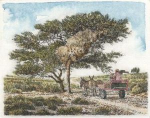"Family Birds' Nest-FamielievoëLnes"