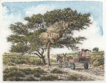 "Family Birds' Nest-FamielievoëLnes"