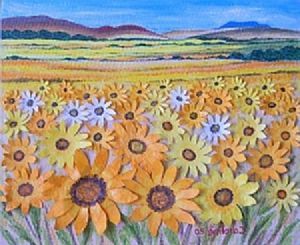 "Weskusflowers1"