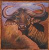 "Buffalo"