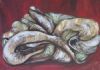 "Shells in Transformation One"
