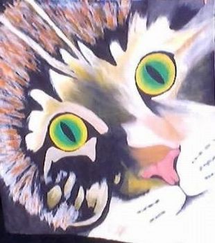 "Cat Quilt"