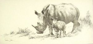 "Big 5 Rhino"