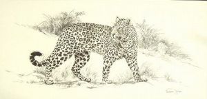 "Big 5 Leopard"