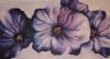 "Petunias"