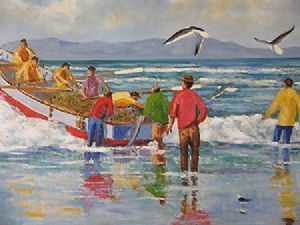 "Netfishing in Falsebay"