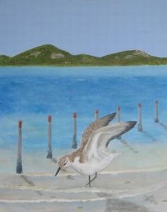 "Strandlopertjie Langebaan"