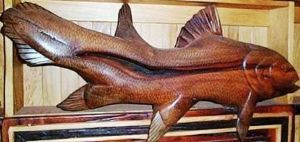 "Magnificent creatures of the deep"