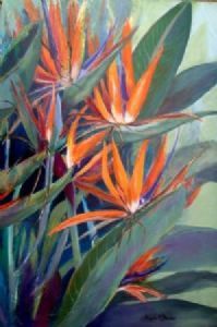 "Strelizias"