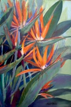 "Strelizias"