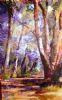 "Jacaranda Time"