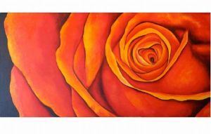 "Orange Rose"