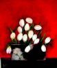 "Red Flowers"