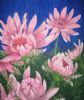 "Pink Daisies"