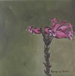 "Fynbos 9, Erica irbyana"