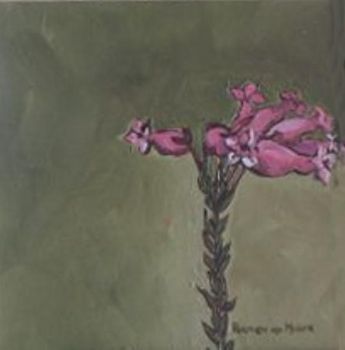 "Fynbos 9, Erica irbyana"