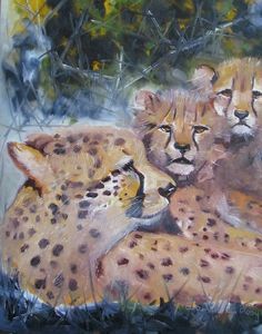 "Cheetahs"