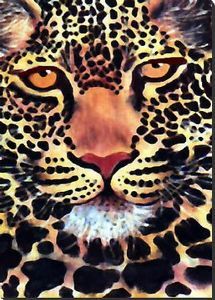 "African Leopard"