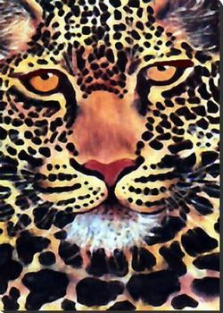 "African Leopard"