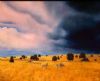 "Approaching Storm"