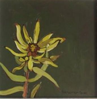 "Fynbos 21, Oilbract Canebush"