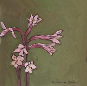 "Fynbos 27, Vuurlelie"