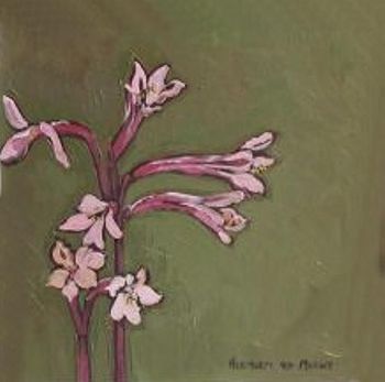 "Fynbos 27, Vuurlelie"