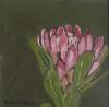 "Fynbos 5, Botrivier protea"