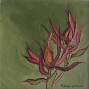 "Fynbos 17, Leocadendron"