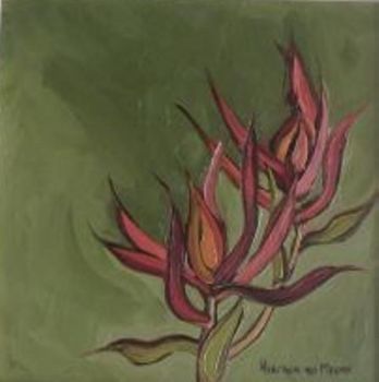 "Fynbos 17, Leocadendron"