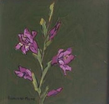 "Fynbos 13, Gladiolus"