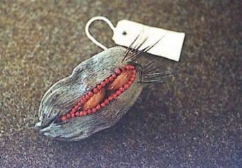 "Seed Sculpture 1"