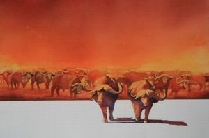 "Attitude on the Hoof"