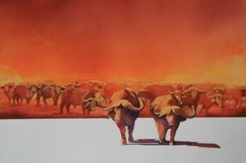 "Attitude on the Hoof"