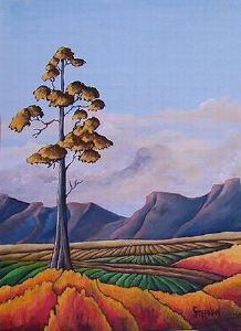 "Eucalyptus tree"