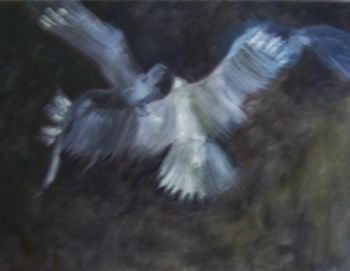 "Birds"