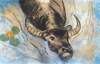 "Water Buffalo"