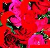 "Flowers for All 2"