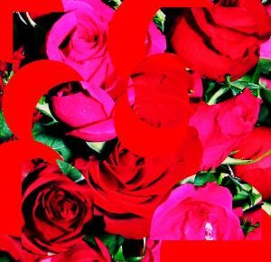 "Flowers for All 2"